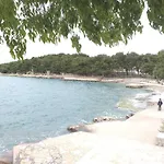 Ivan By The * Tribalj