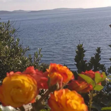 아파트 Ivan By The *