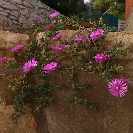 Ivan By The