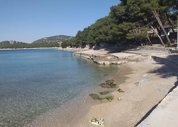 Ivan By The * Tribalj